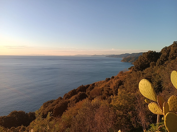 Tramonto, costa ligure