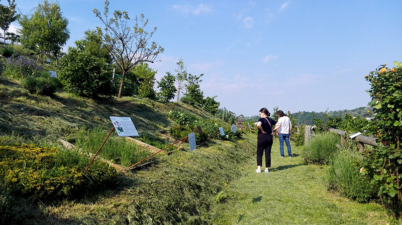 Il Giardino di Don Zocca