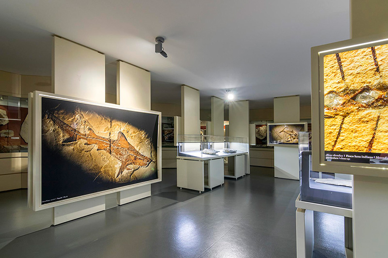 Il Museo dei Fossili e la Pesciara di Bolca