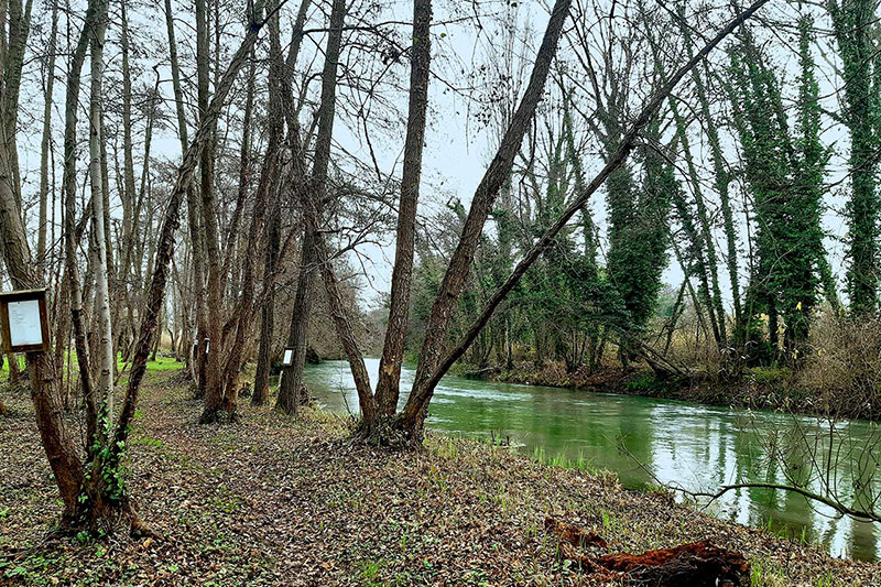 orto-botanico-monsignor-lorenzo-tognana-emma-tegon