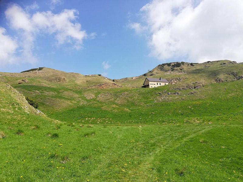 sentiero-semplice-rifugio-bertagnoli-malga-campodavanti