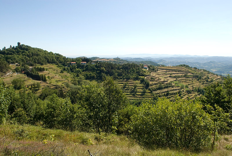 paesaggio langhe