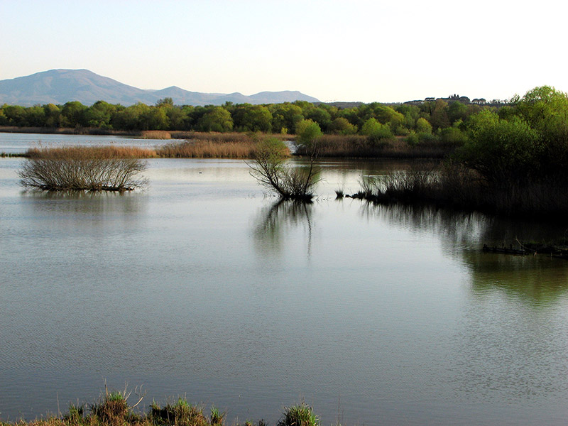 Lago di Alviano