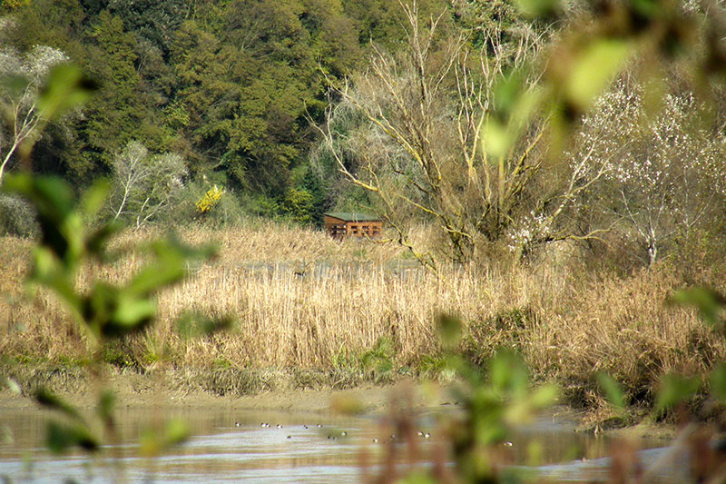 Capanno birdwatching